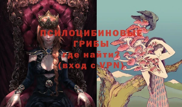 2c-b Балахна
