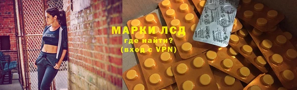 стаф Баксан