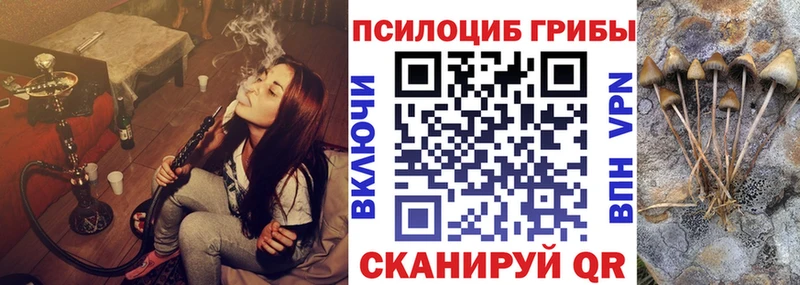 Галлюциногенные грибы Cubensis  Бронницы 